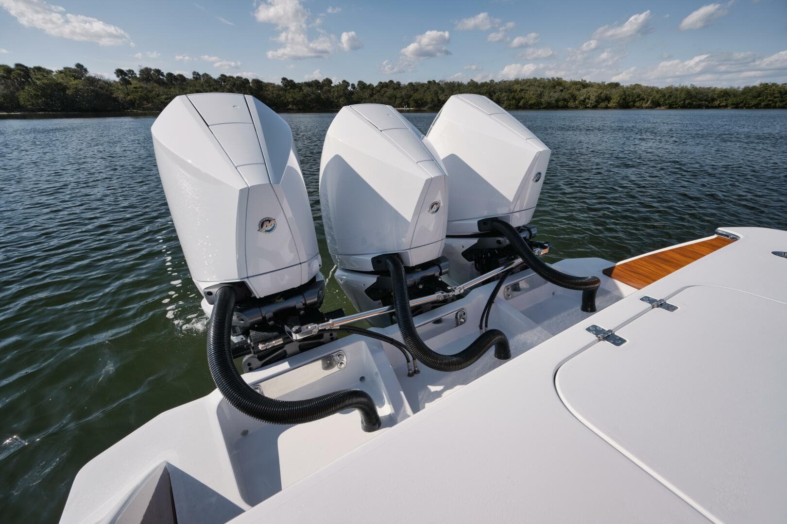 2023 Tribute photo 38